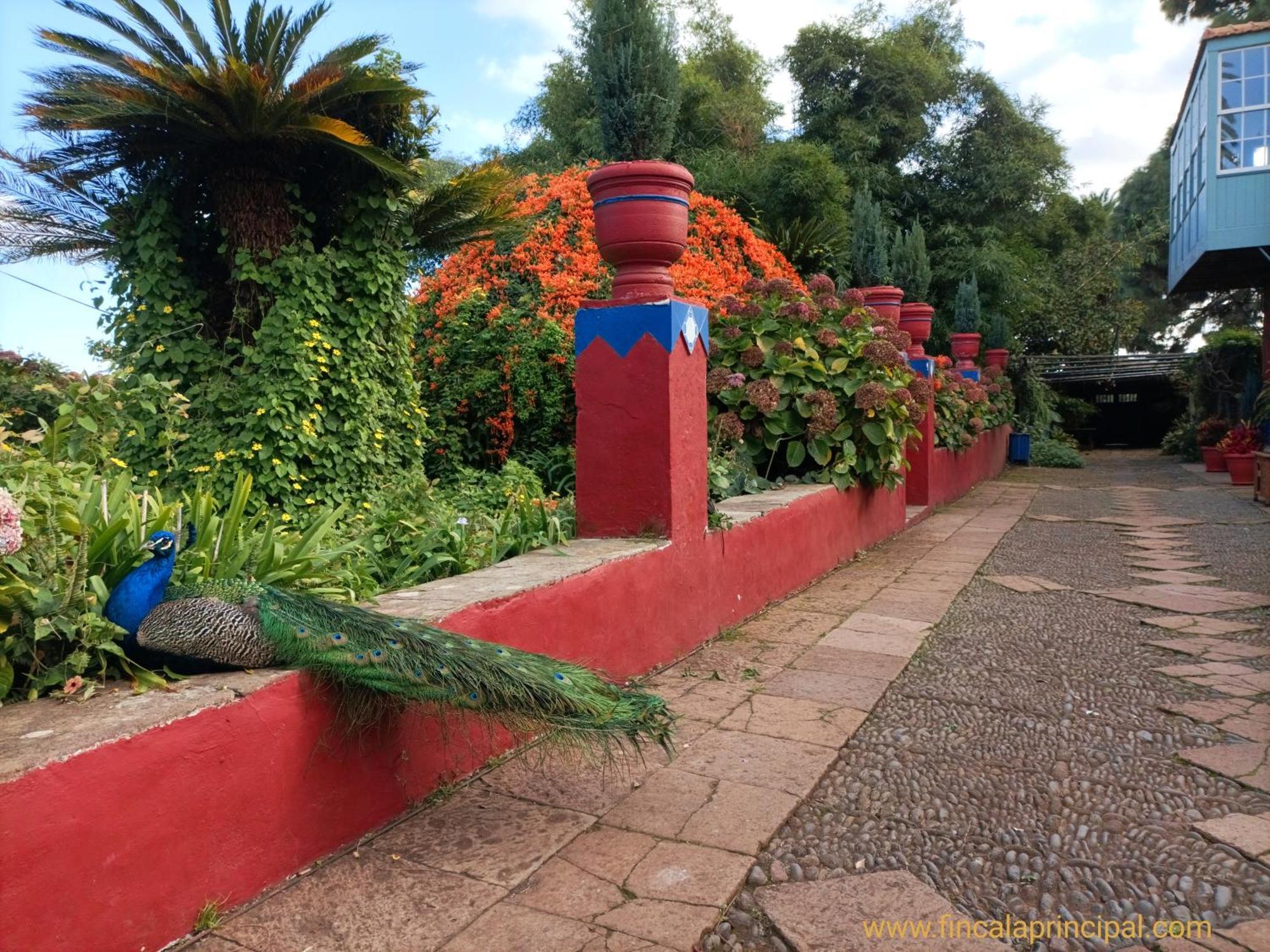 Finca La Principal Brena Alta Ngoại thất bức ảnh