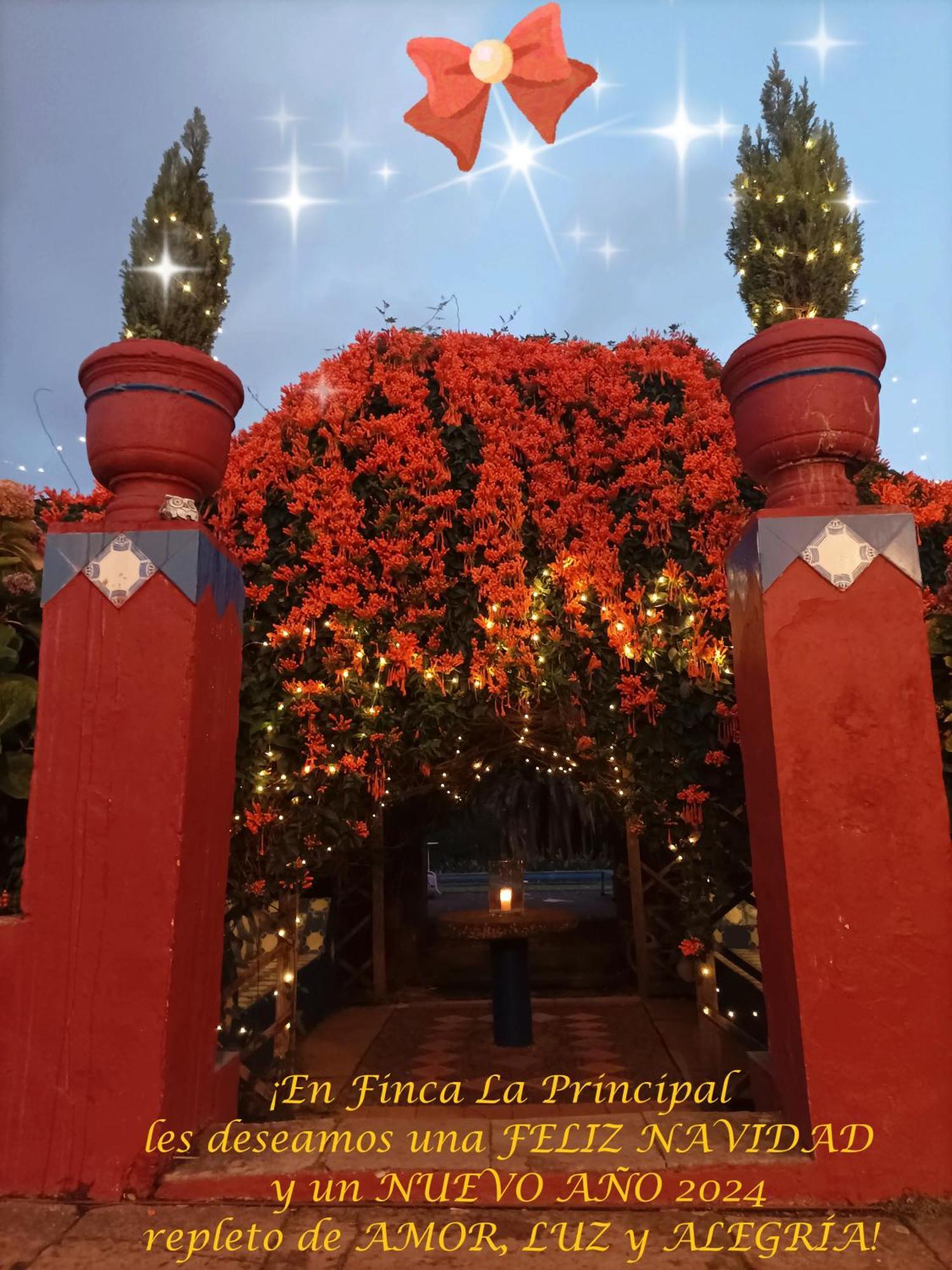 Finca La Principal Brena Alta Ngoại thất bức ảnh