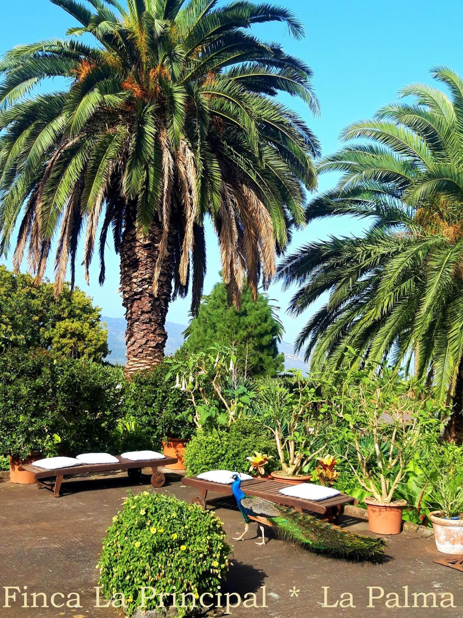 Finca La Principal Brena Alta Ngoại thất bức ảnh