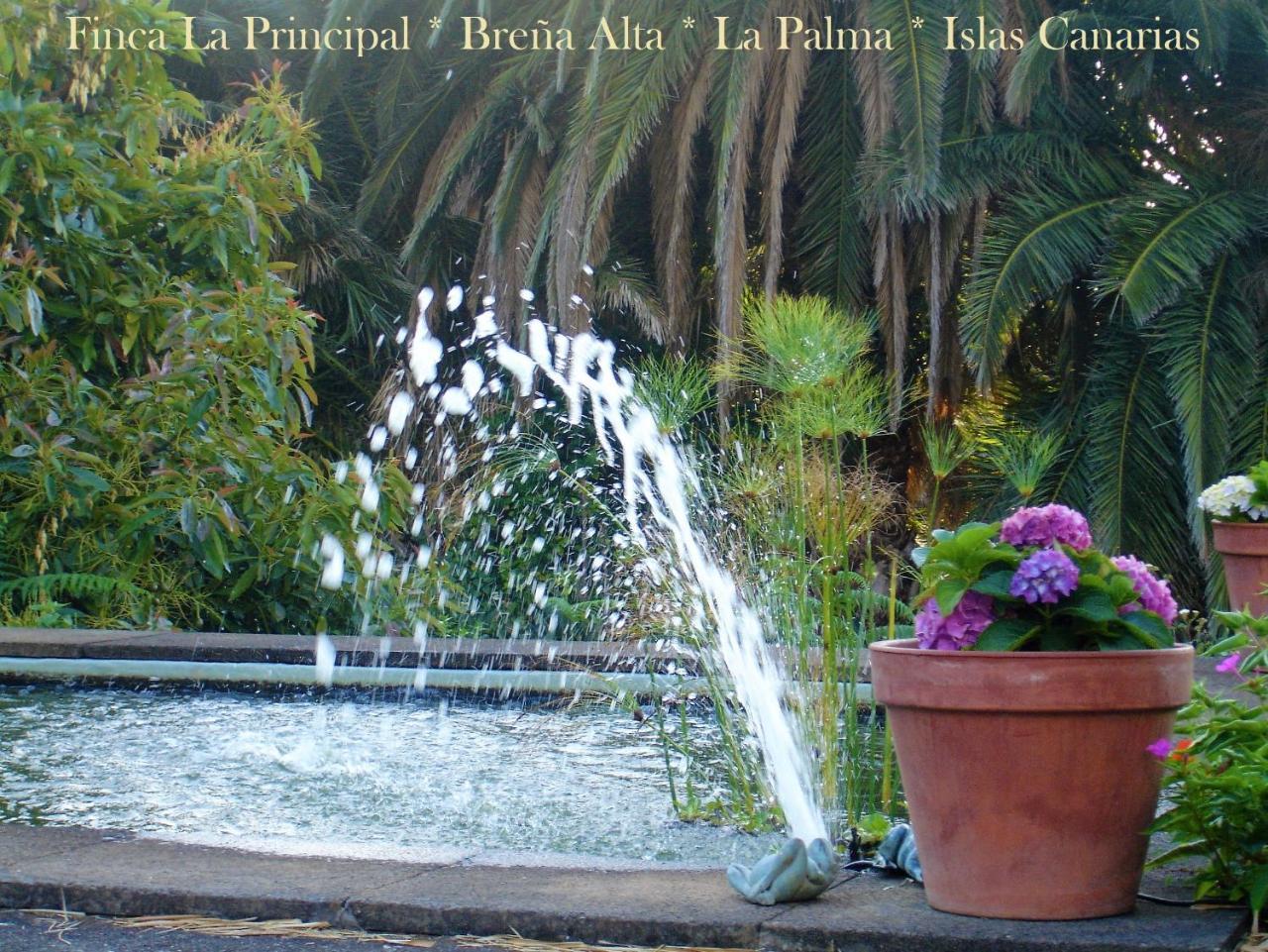 Finca La Principal Brena Alta Ngoại thất bức ảnh